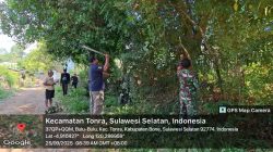 Babinsa Koramil 1407-16/Tonra Gotong Royong Bersama Warga Ddi Dusun Bone Lampe